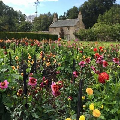 香港2023正版免费资料截图