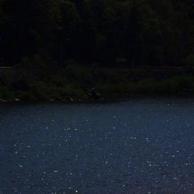 开云网kaiyunapp下载