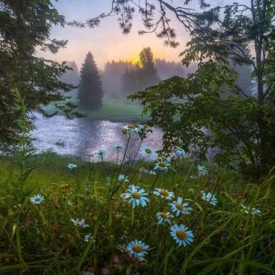 澳门威斯尼斯WNS888入口app下载